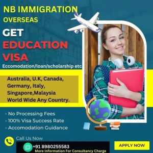 study visa consultancy