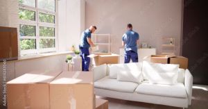 packers movers