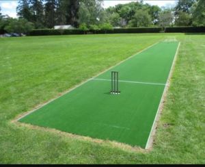 Artificial Cricket Pitch