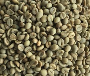 Arabica Bulk Green Coffee Beans