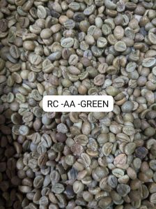 Robusta AA Green Coffee Beans