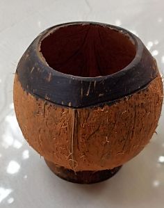 Coconut Shell Planter