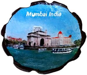 Coconut Shell Fridge Magnets