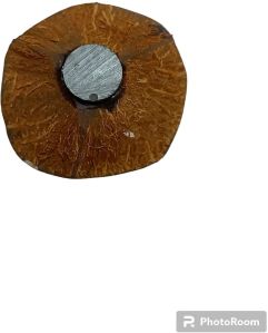 Coconut Shell Fridge Magnets