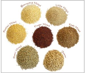 Indian Millets