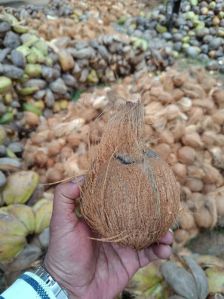 Coconut Husk