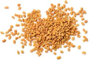 Fenugreek