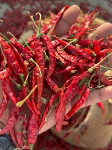 teja deluxe/ best red chilli