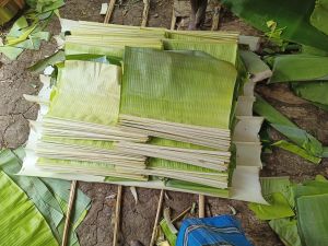 Lunch banana leaf