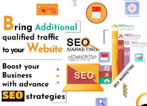 Search Engine Optimization Service