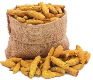 Dried Turmeric Finger