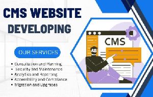 CMS Web Development