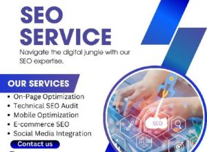 SEO Services in Delhi