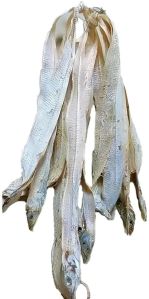 Dried Ribbon Fish