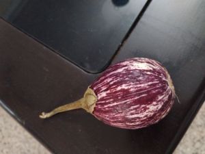 Brinjal