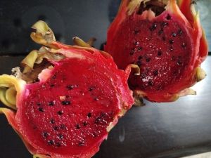 Dragon fruit