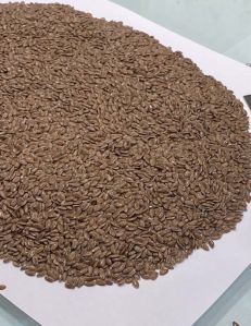 Flax Seeds