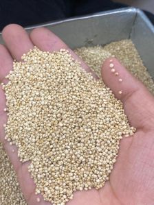 Quinoa Seeds