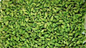 Green Cardamom