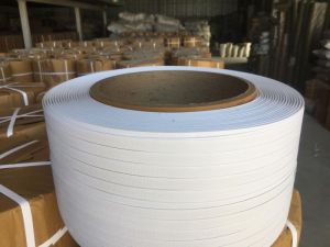 Pp Box Strapping Roll