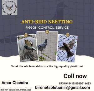 Anti Bird Net