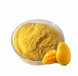 Spray Dried Mango Powder