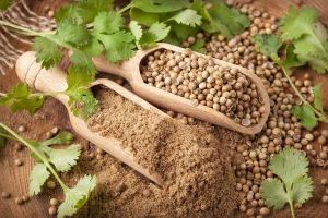 Coriander Powder