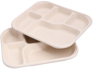 5 compartment tray