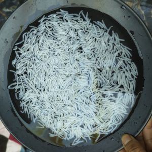 1121 Parboiled Rice