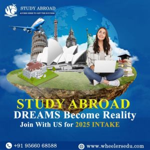 Study Abroad Consultant Services