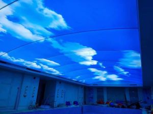 Printed Stretch Ceiling