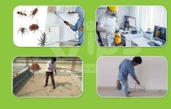 Pest Control Services