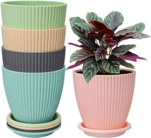 7 inch multicolor Flower Pot