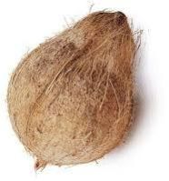 COCONUTS