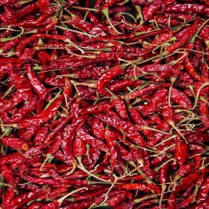 red chilli