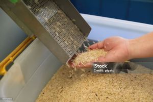 Rice Polisher