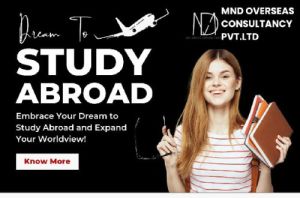 Study Abroad packages