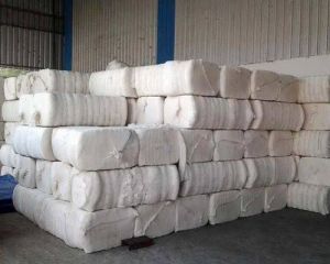 Cotton Bales