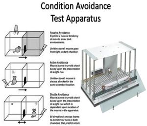 Condition Avoidance Test Apparatus