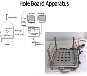 Hole Board Apparatus