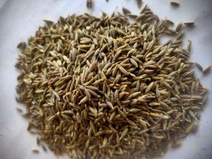 Cumin Seed