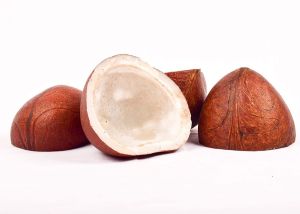 Natural Copra Coconut