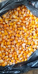 Yellow Maize Seeds