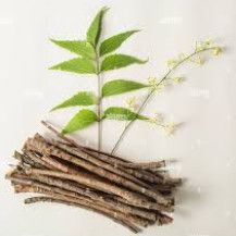 Neem Sticks