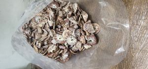 moro betel nut chips