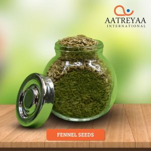 Fennel Seeds