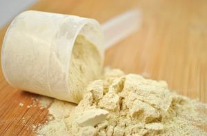 Whey Protein Isolate Powder