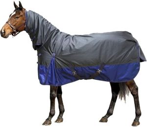 Black and Blue Winter Horse Rugs