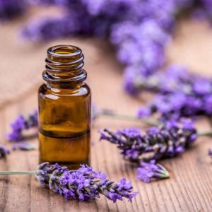 Lavender Essential Oil