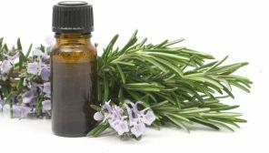 Rosemary Essential Oil